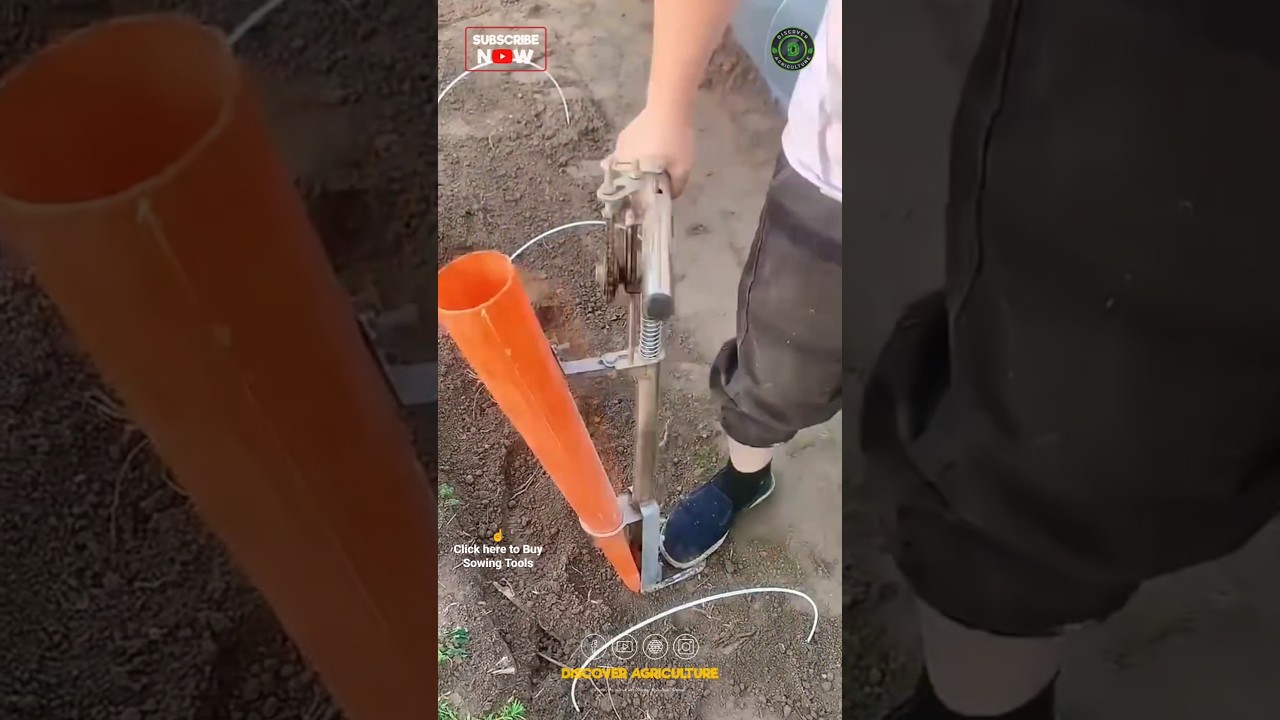 Amazing Vegetable Planting Tool