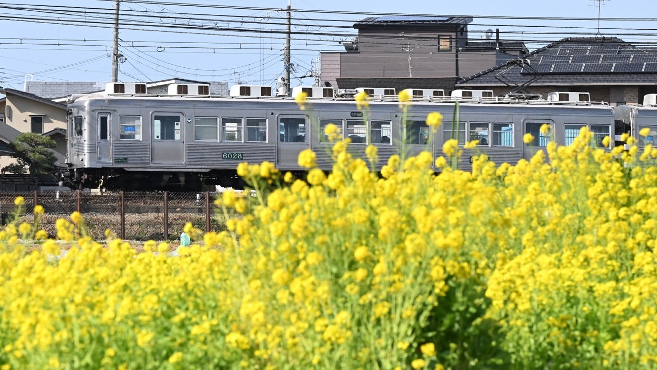 『鉄フォト』南海電気鉄道高野線（大阪府、和歌山県）