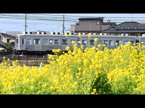 『鉄フォト』南海電気鉄道高野線（大阪府、和歌山県）