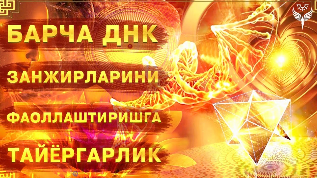 ОНГНИНГ ЮҚОРИ ҚАТЛАМЛАРИГА АСТА-СЕКИН, БОСҚИЧМА-БОСҚИЧ ЎТИШИ ЖУДА МУХИМ | САПФИРИЯ МУШТАРИЙ ЮЛДАШЕВА