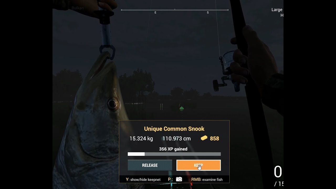 Fishing Planet - How to Catch Unique Common Snook at Everglades, Florida.