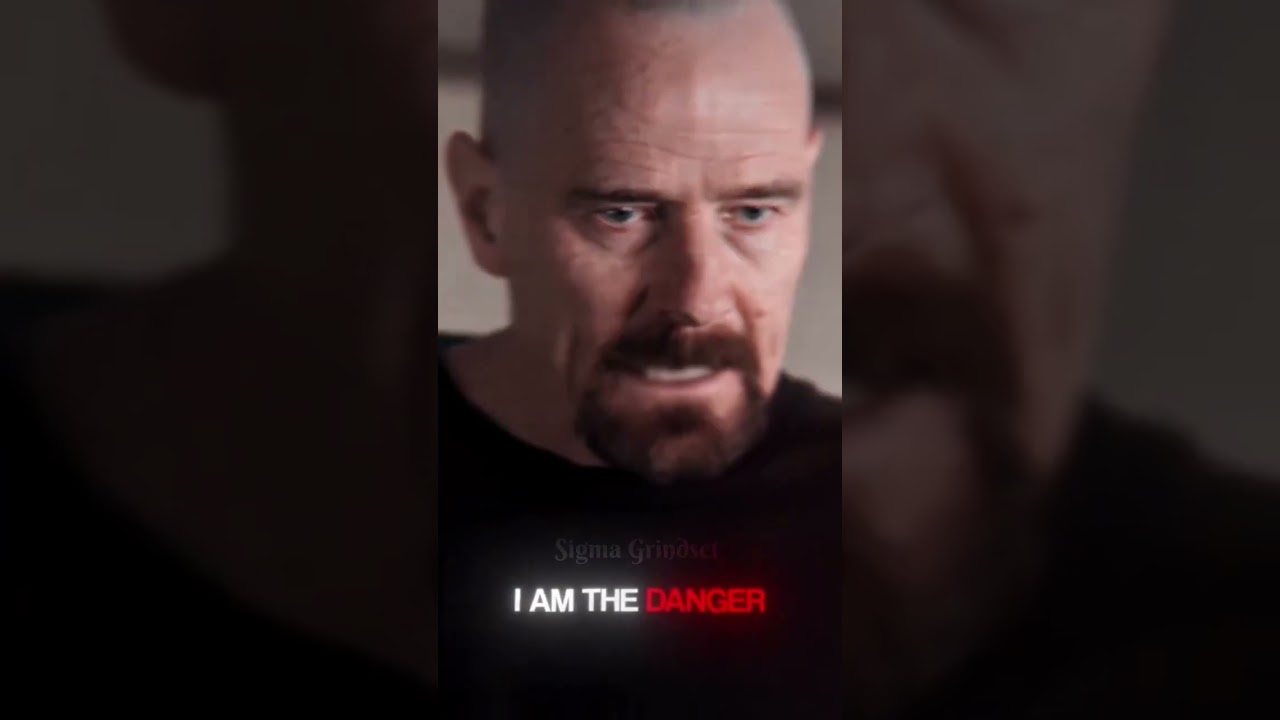 "Gus fring is dead" Heisenberg || I am not in danger Skyler, I am the danger. 