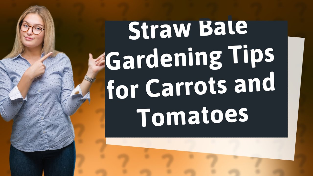 How Can I Optimize My Straw Bale Garden for Carrots and Tomatoes? YouTube