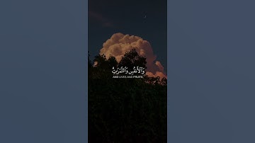 القارئ #صالح_الأنصاري | سورة البقره   #قران_كريم   #مكة_المكرمة   #المدينة_المنورة