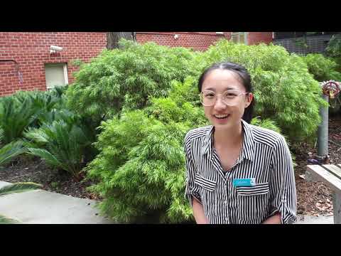 Geelong Clinical School by Deakin University