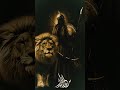 man kunto maula Ali Ali mere Nabi ne bola Ali Ali #viral #trending #shorts #fypシ