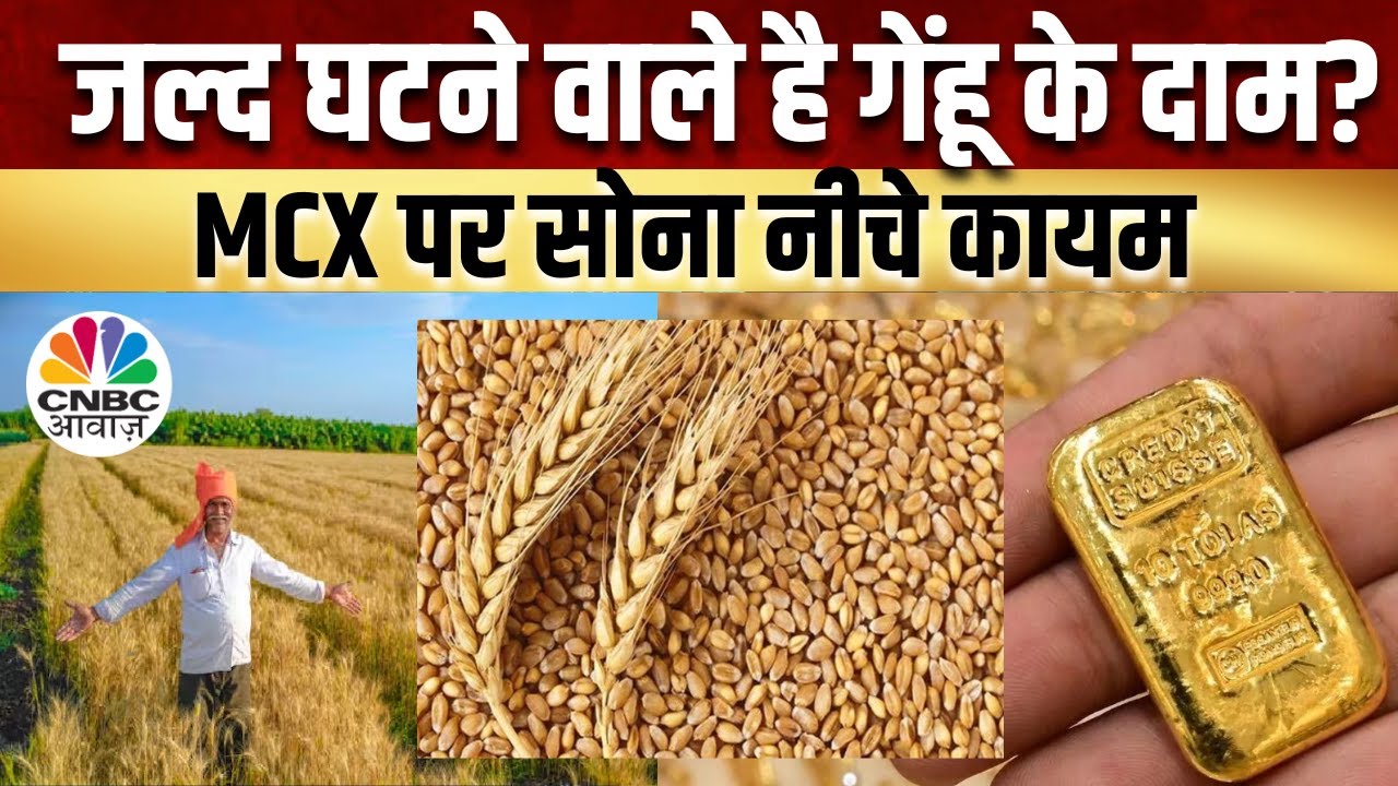 Wheat Price Hike News : सरकार ने गेंहू के दाम घटाने पर क्या कहा? |Commodity Market News | CNBC Awaaz