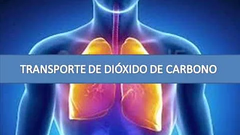 O que acontece se inalar dióxido de carbono?