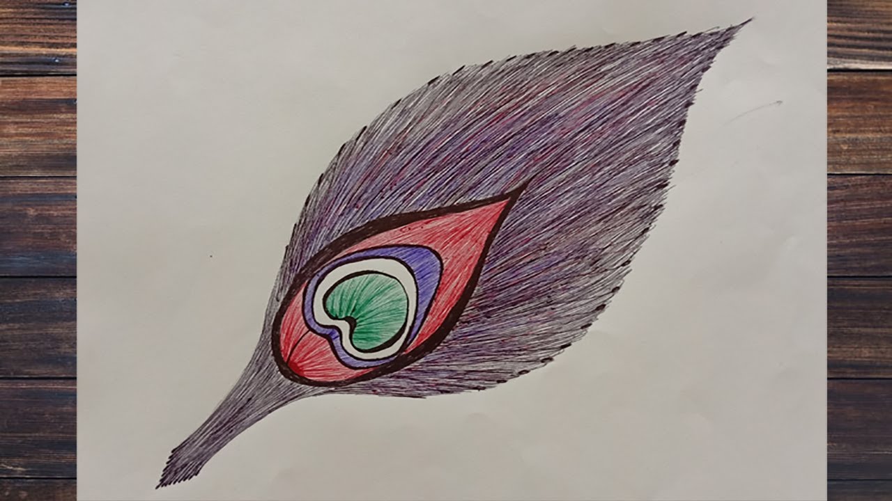 How to draw a Feather using pen and pencil || Tutorial || Easy Drawing