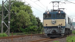 2024年8月25日 国鉄最後の新製電気機関車EF64 1053 牽引 快速｢ELぐんま