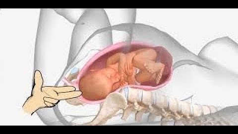 Fetal contraction stress test CPT code - simplify medical coding