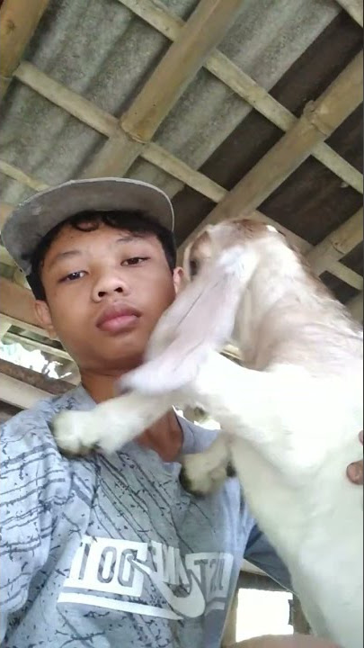 mongo di saskreb laek dan yang mautaya silahkan di kolom komentar biar lebih berkembang dan semangat