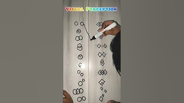 Brain boosting Visual Perception Activity #trending #dailyactivity #momlife #preschoolers #india