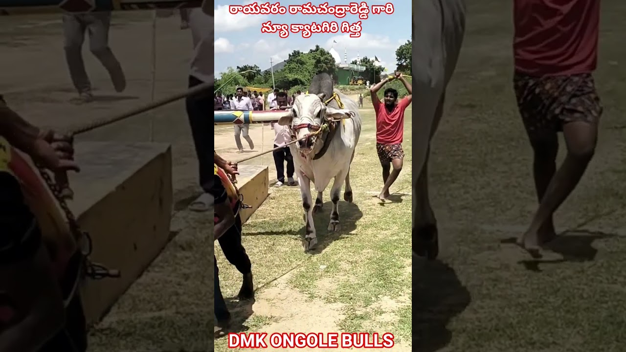 !!rayavaram ramachandra Reddy Garu 