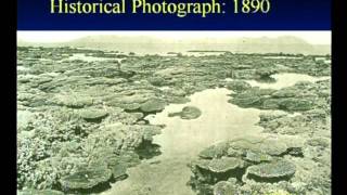 Terry Hughes - Anticipating ecological surprises: Managing reef resilience