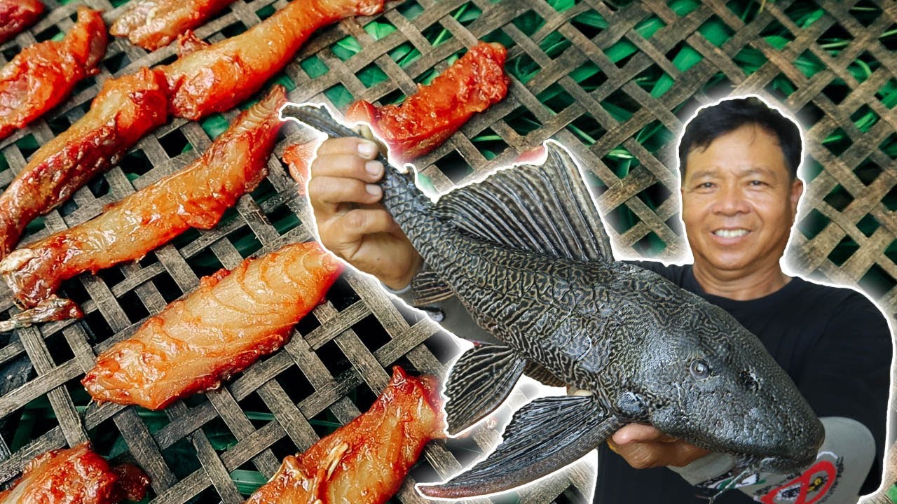 กล้ากินมั้ย? เมนูปลาซัคเกอร์!!! แดดเดียว สูตรครัวป่าไผ่  l ครัวป่าไผ่ SAN CE