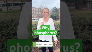 Why is phosphorus important? Phosphorus is essential for life with Lily Kile | #PWeek2025