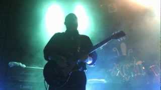 Amplifier 2011 - The Octopus LIVE HD