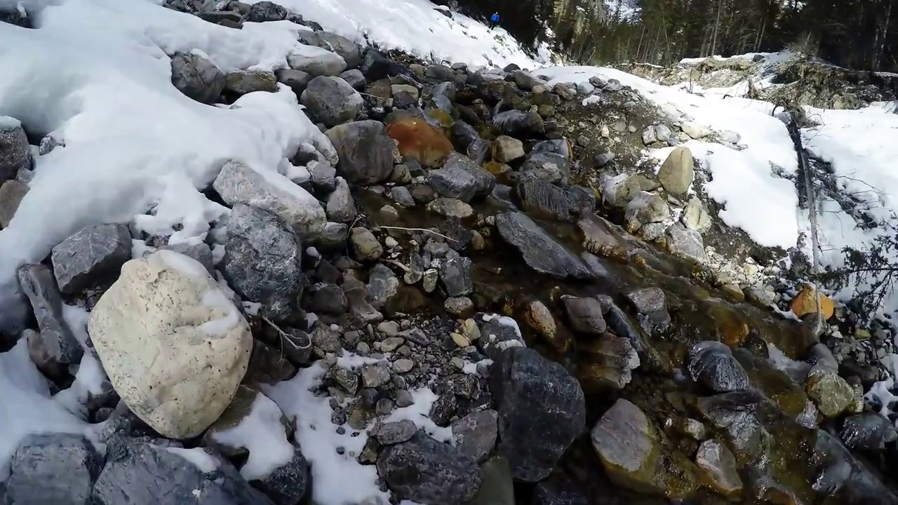 Random Hike In The Rockies