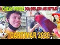 CARTIMAR PET SHOP PRICE LIST UPDATE 2020 | DOGS, FISHES, BIRDS AND REPTILES