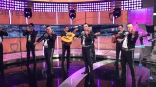 Mariachi mi mexico miami 3054946676