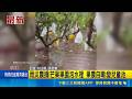 雨災農損!芒果果園泡水裡 果農自嘲:變兒童池｜三立新聞LIVE