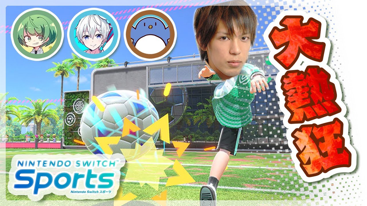 スイッチスポーツのサッカーで大熱戦！！　俺は大戦犯じゃねえ、エースストライカーや！！！【NOT2】
