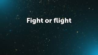 "Fight or Flight" Pastor Sven Frantzen