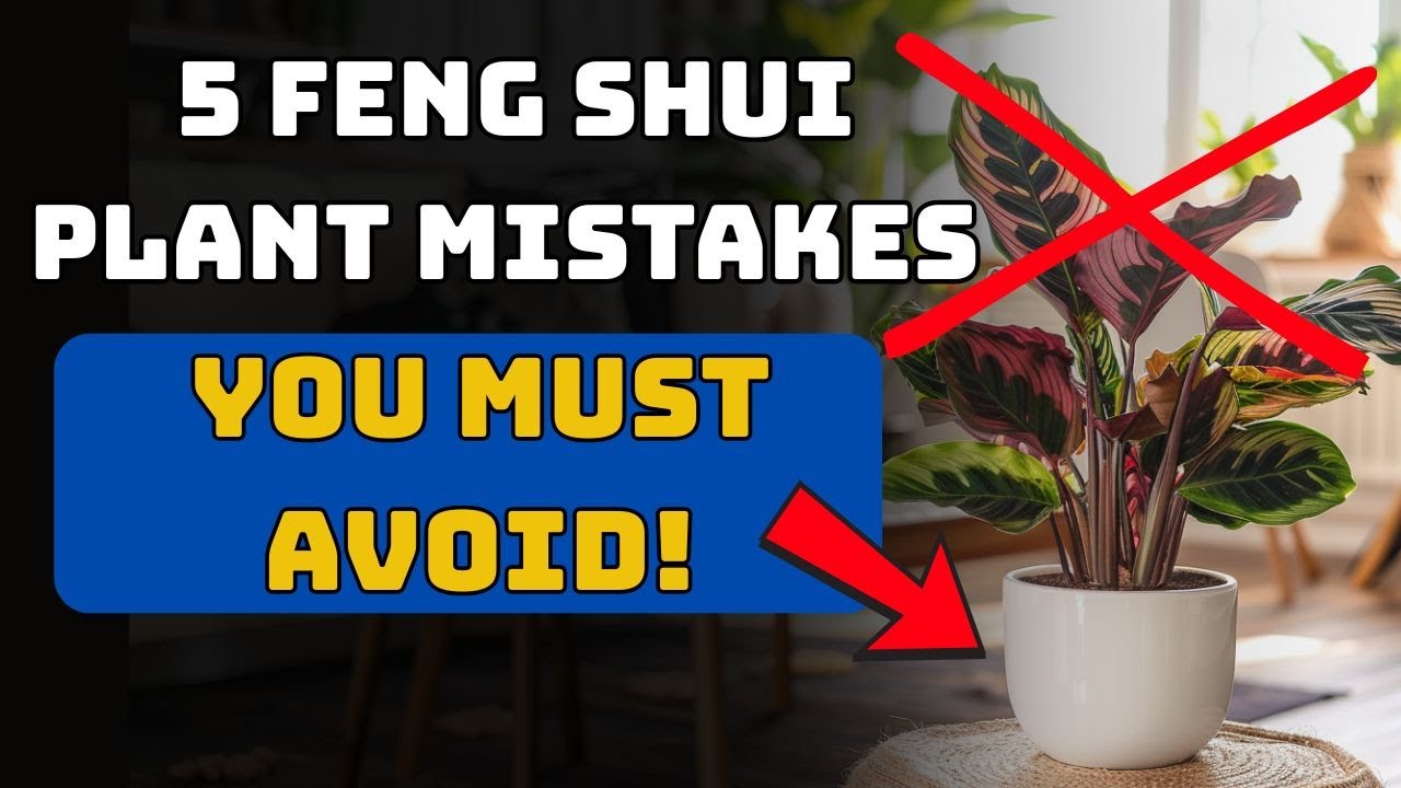 5 Feng Shui Plant Placement Mistakes That Drain Wealth—And Most People Still Make Them!
