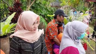 Pernikahan codara iis