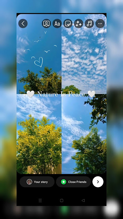 Nature lover Instagram story ideas 🌿❤️ #love #viral #instastory #photography #nature #naturelovers