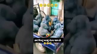 આણુ તેડવા હાલાsortsyoutubers  subscribe