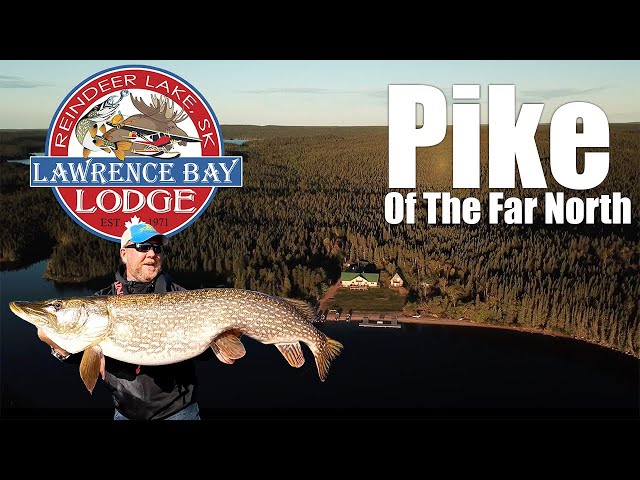 Pike of The Far North 