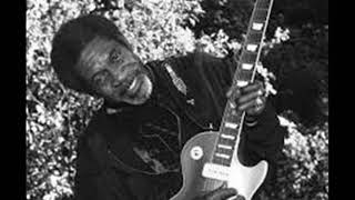 Luther Allison-Last Night I Lost the Best Friend I Ever Had (Live)