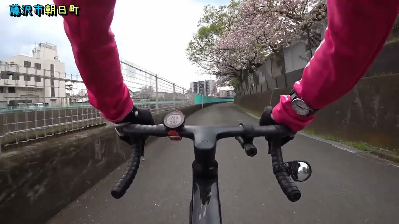 CANYON AEROAD CFR 2021 桜を見ながら通勤帰路 4月2日（鎌倉市岡本→藤沢駅付近→柏尾川・境川・引地川桜→イオン茅ケ崎中央店）