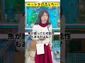 ペットを返品したい #shorts