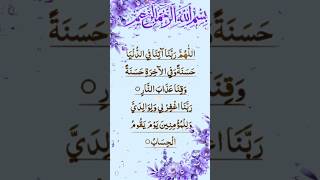 RABBANA DUA | دعاء 🤲❤️Egzon Ibrahimi #dua #rabbanadua #shorts