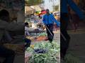 Fake market prank #shortvideo #comedyvideos #funny
