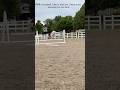 It just makes me so happy when Fifi jumps a 2 ft course at home and then decks me at a show😊#horse
