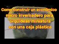 Micro invernadero para orquídeas miniatura con una caja