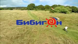 Red Bee Bibigon - Channel Branding