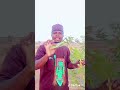 Cikin Sauki Daga Yau Kadena Neman Abinci Agidanka By Halifan Fada Jibia Cikin Sauki Daga Yau Kadena Neman Abinci Agidanka By Halifan Fada Jibia