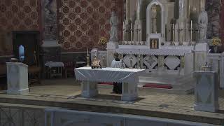 Memotial of Saint Lawrence of Brindisi, Priest & Doctor of the Church