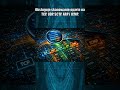 Czym jest Nmap? #nmap #itwdefinicjach #edukacjacyfrowa #komputer #informatyka #technologia