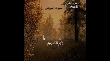 أرح سمعك 🥀 تلاوة خاشعة🌿القارئ: رعد الكردي 🍃حالات واتس آب🍂