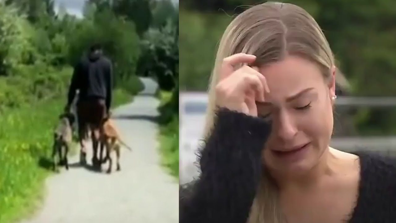 Attacked by 3 Pit Bulls while walking at the park - YouTube