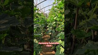 Vegetable Garden Decoration Ideas | Simple Gardening Hacks 🌱🥕 #gardening #vegetablegarden