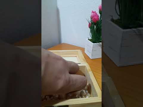 انواع اللؤلؤ الزراعي