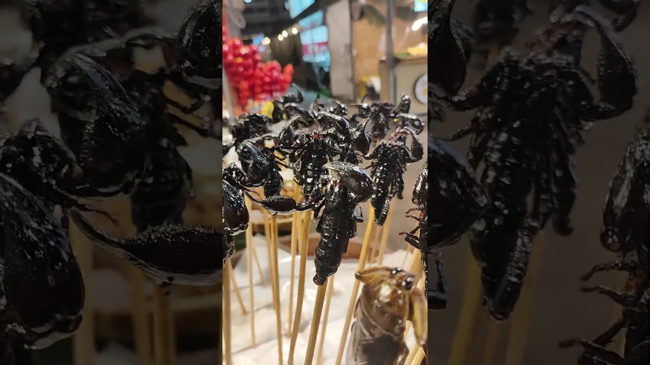 exotic food at jodds fairs 😋 