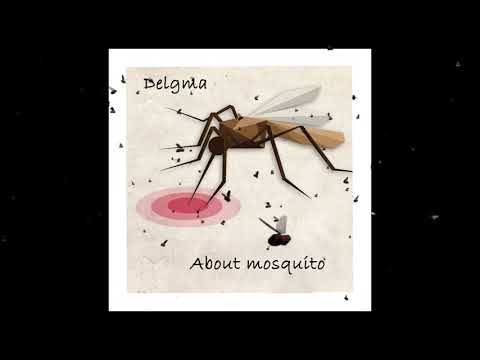 Delgma - About Mosquito / კოღოს შესახებ